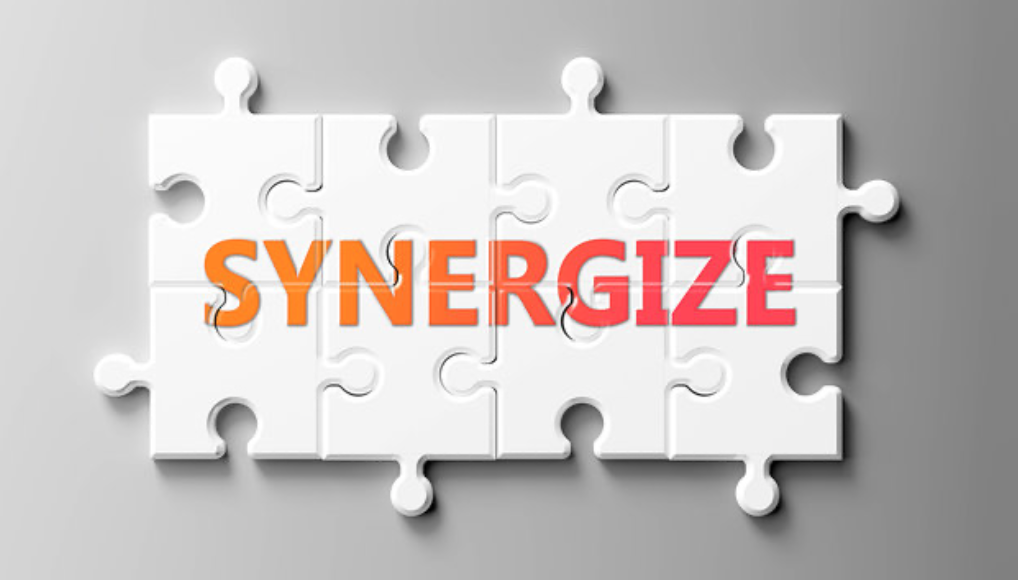 Habit 6: Synergize